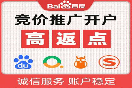 SEM外包策略在电商平台的成功案例